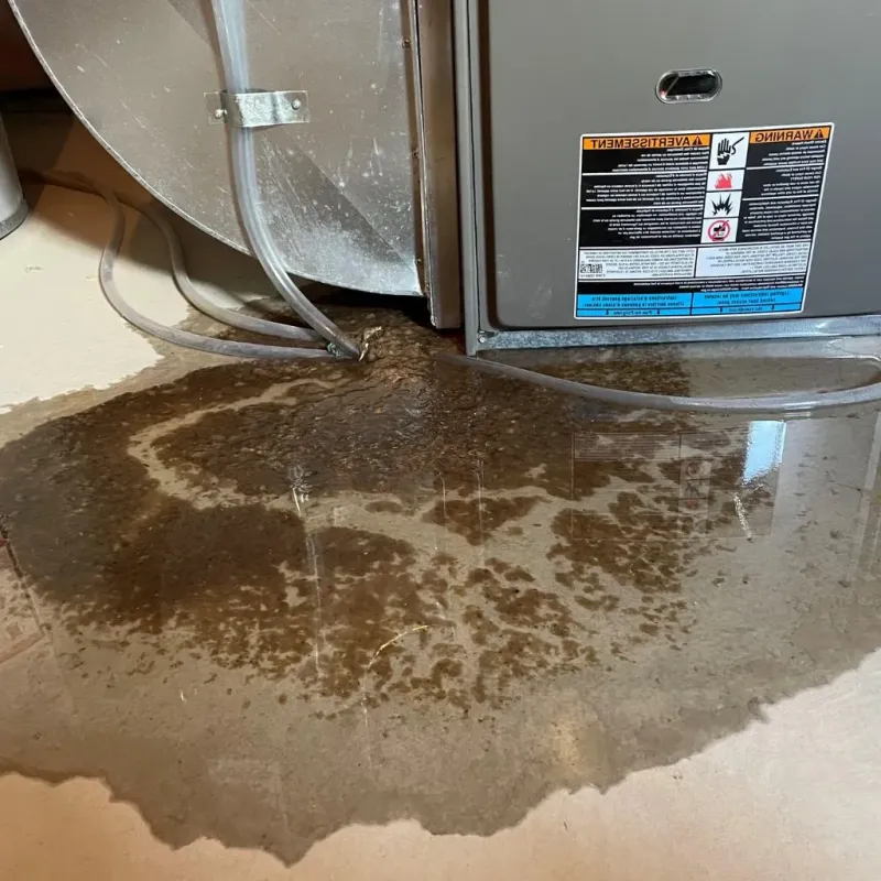 Pipe Burst and Leak Restoration in Hales Corners, WI