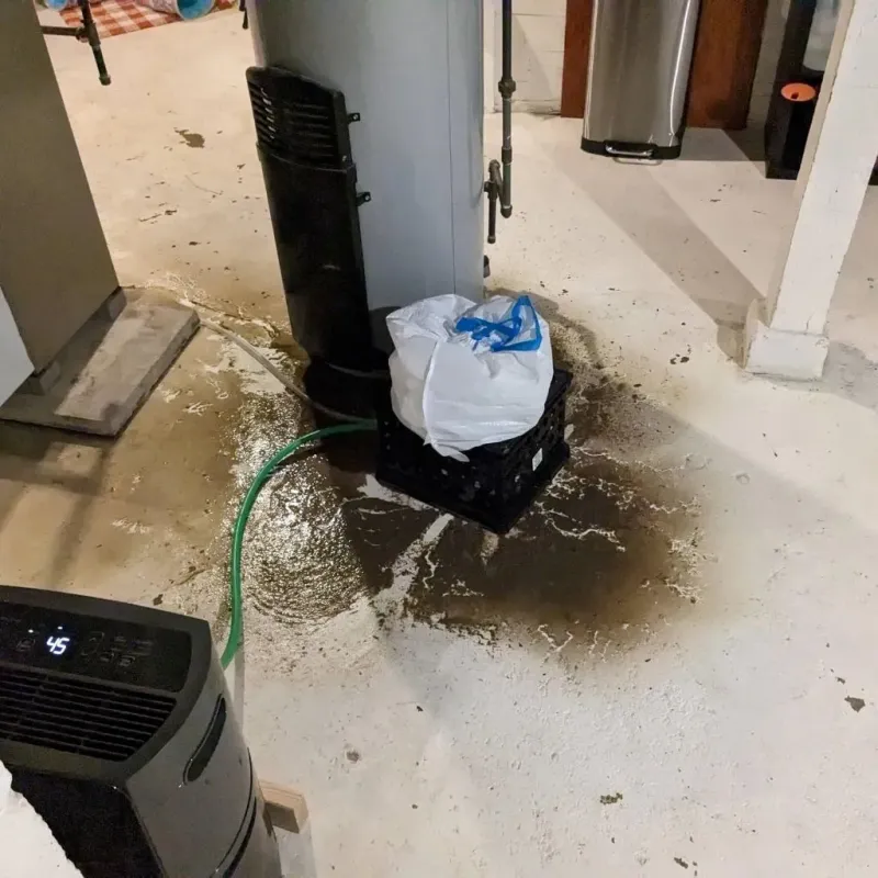 Sewage Backup Cleanup Service in Hales Corners, WI